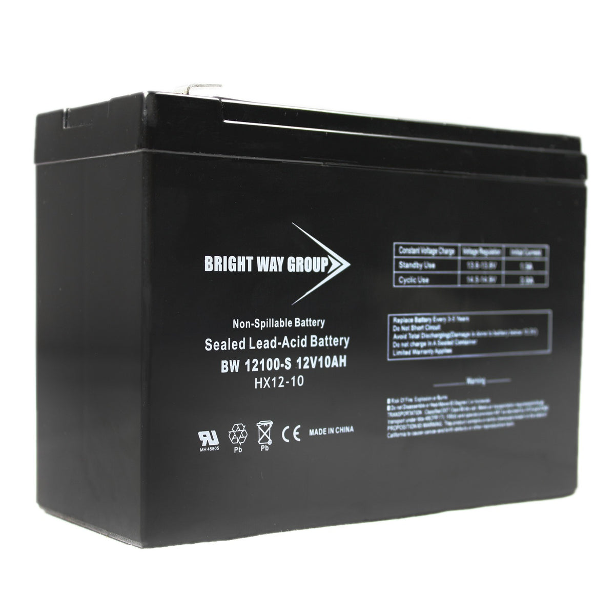 Bright Way Group Bwg 12100-S F2 Sealed Lead Acid Battery