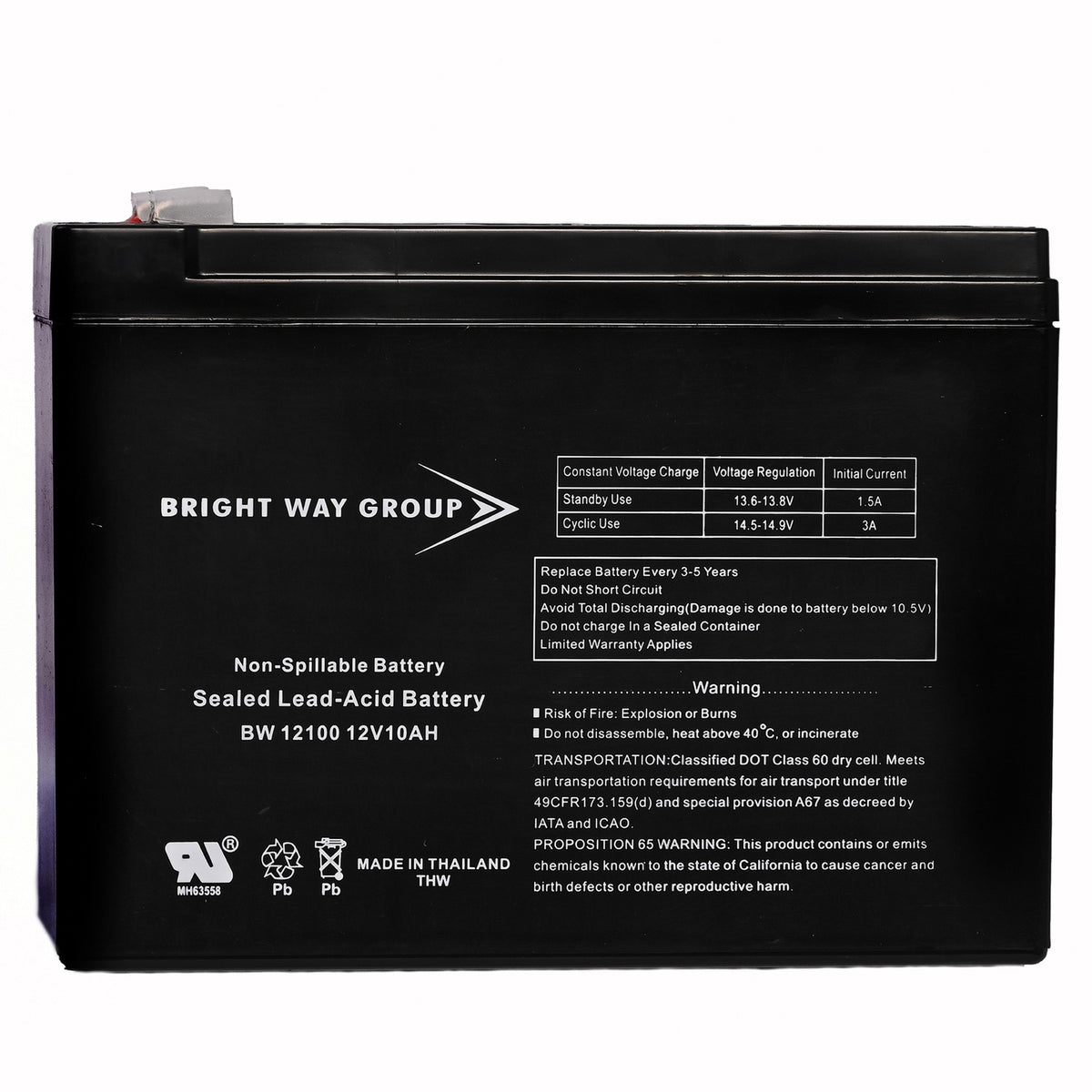 Bright Way Group Bwg 12100-S F2 Sealed Lead Acid Battery - 8