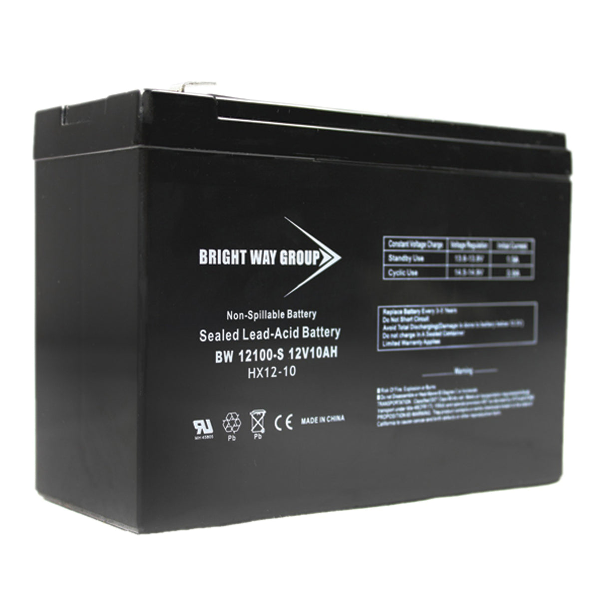 Bright Way Group Bwg 12100-S F2 Sealed Lead Acid Battery - 10
