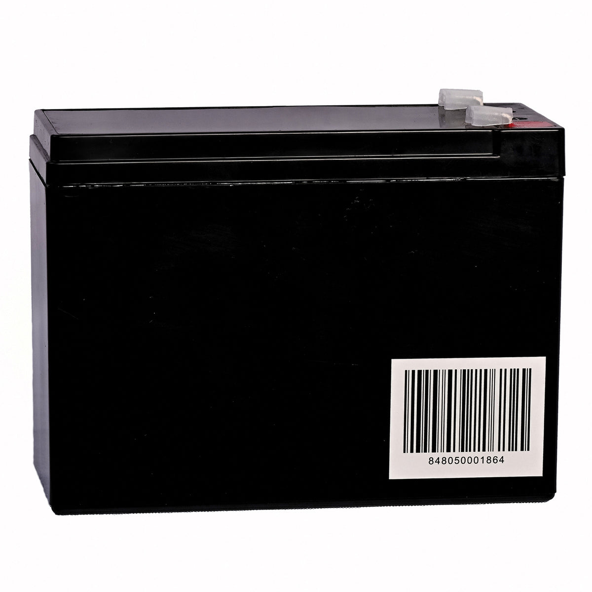 Bright Way Group Bwg 12100-S F2 Sealed Lead Acid Battery - 2