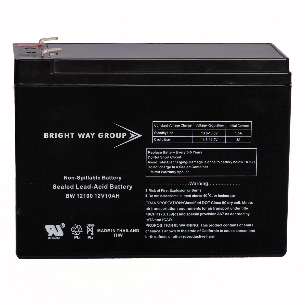 Bright Way Group Bwg 12100-S F2 Sealed Lead Acid Battery - 3