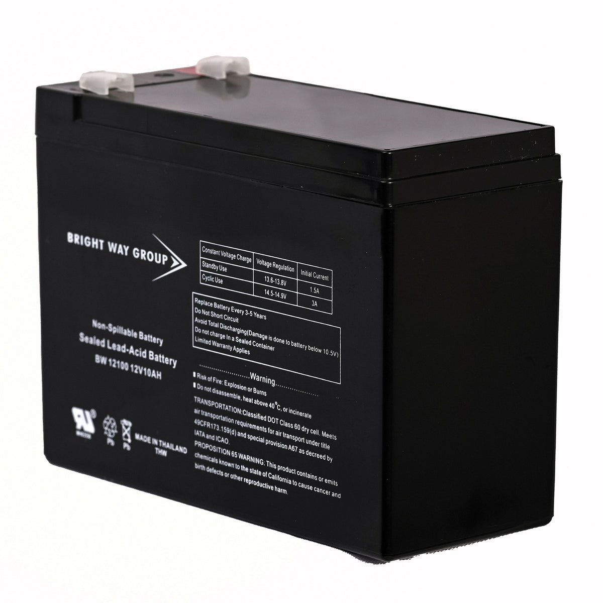 Bright Way Group Bwg 12100-S F2 Sealed Lead Acid Battery - 4