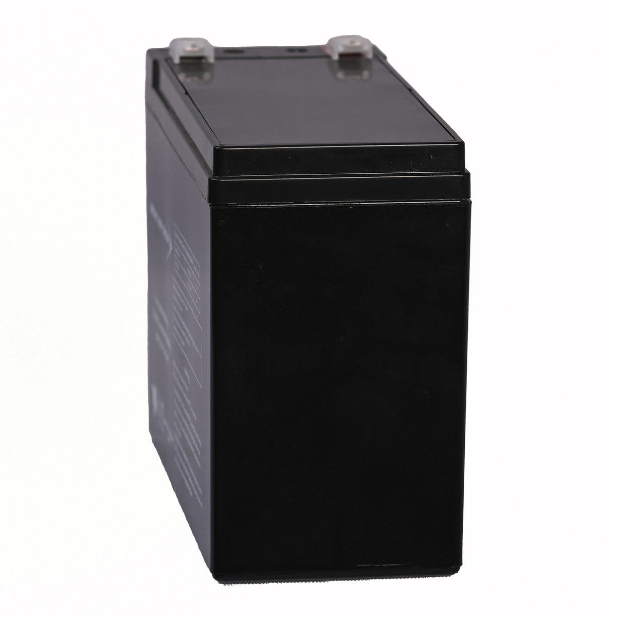 Bright Way Group Bwg 12100-S F2 Sealed Lead Acid Battery - 5