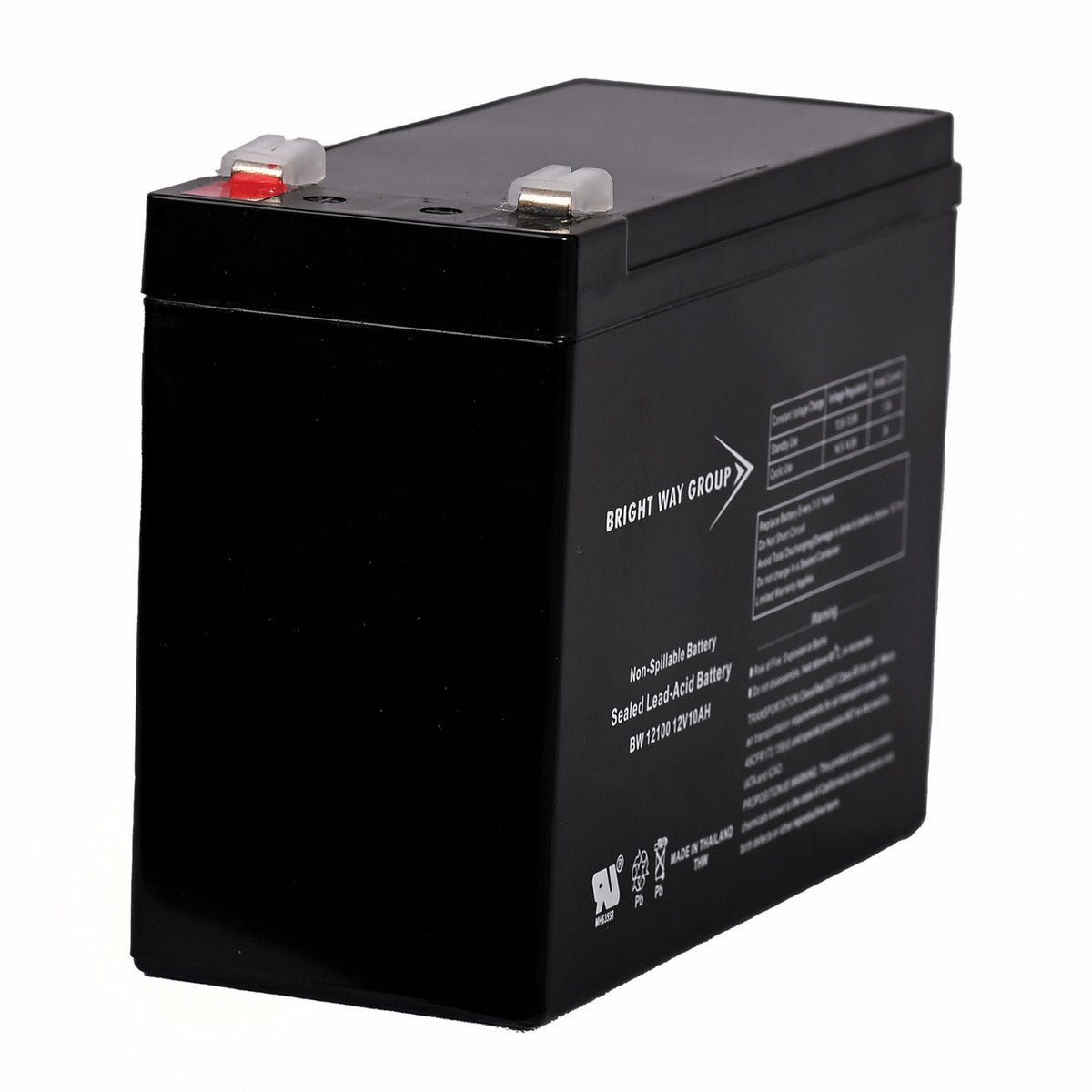 Bright Way Group Bwg 12100-S F2 Sealed Lead Acid Battery - 6
