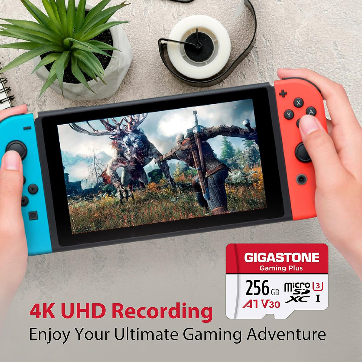 Gigastone Gaming Plus A1V30 microSD Card (256 Gb) - 4