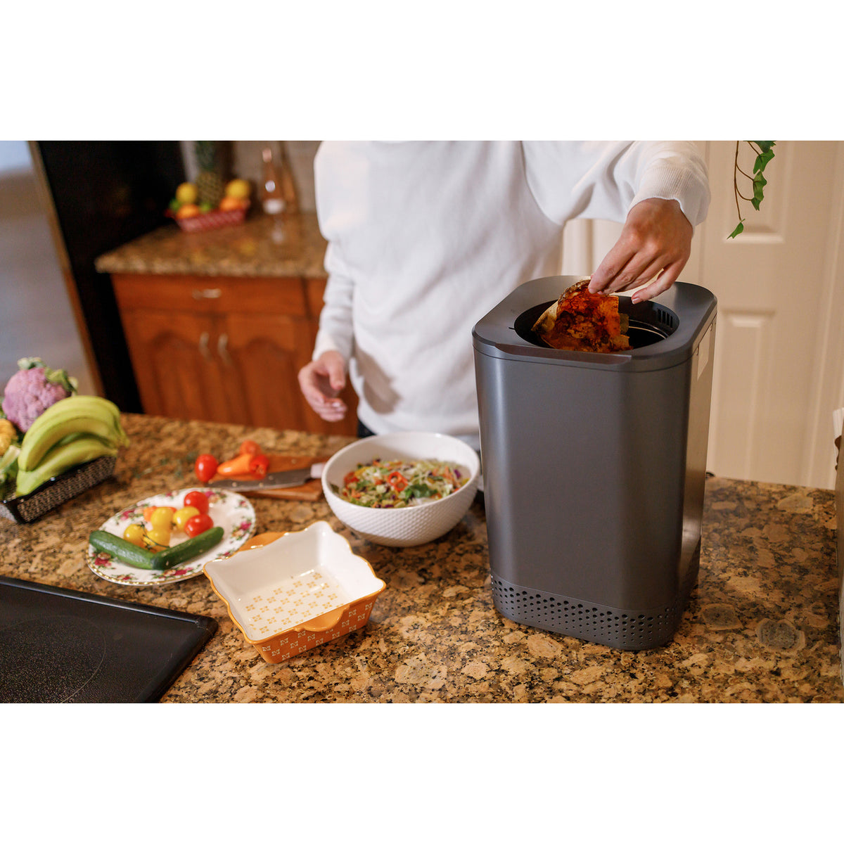 Nagual NA2 Kitchen Smart Electric Composter - 5