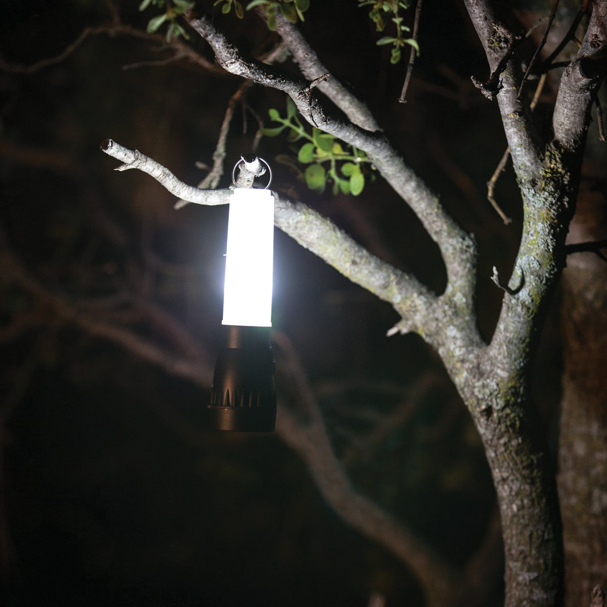 LifeGear 200-Lumen Floating Flashlight and Lantern - 3