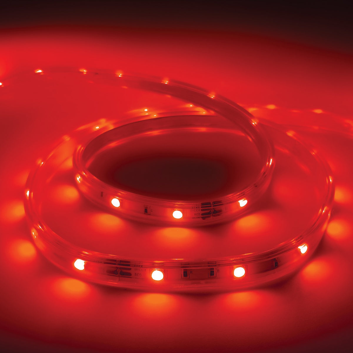 Monster Multi-Color and Multi-White Indoor/Outdoor LED Light Strip - 3
