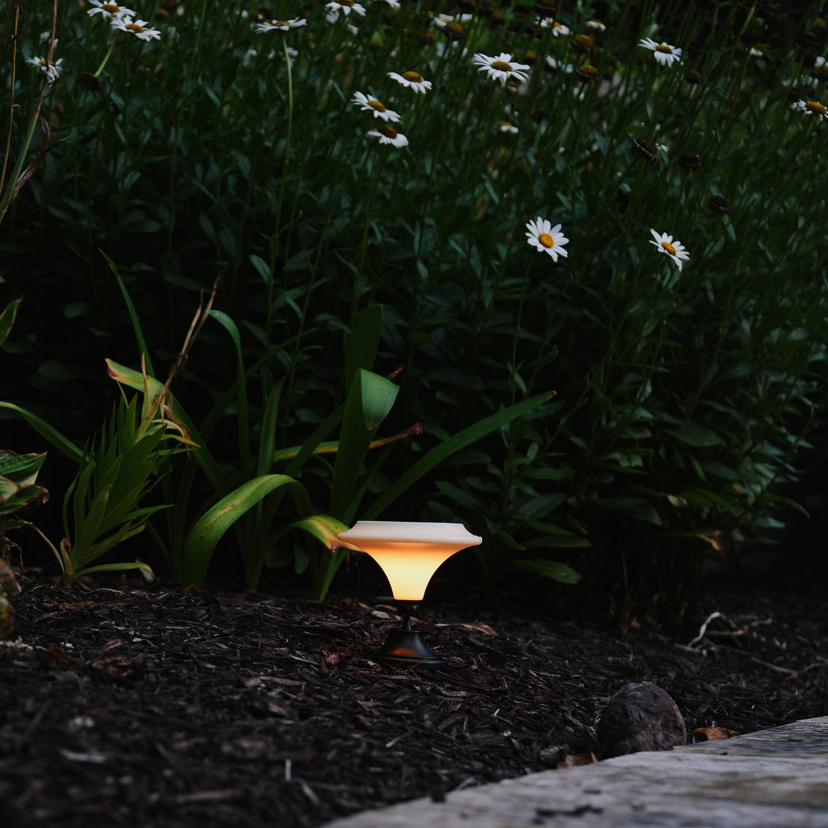Maxsa Innovations Solar-Powered White Integrated-LED Outdoor Martini Lamp - 5