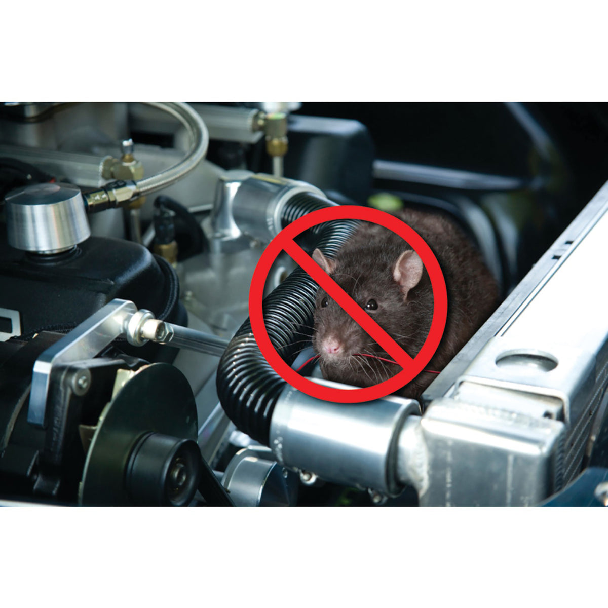 P3 International Underhood Animal Chaser - 2