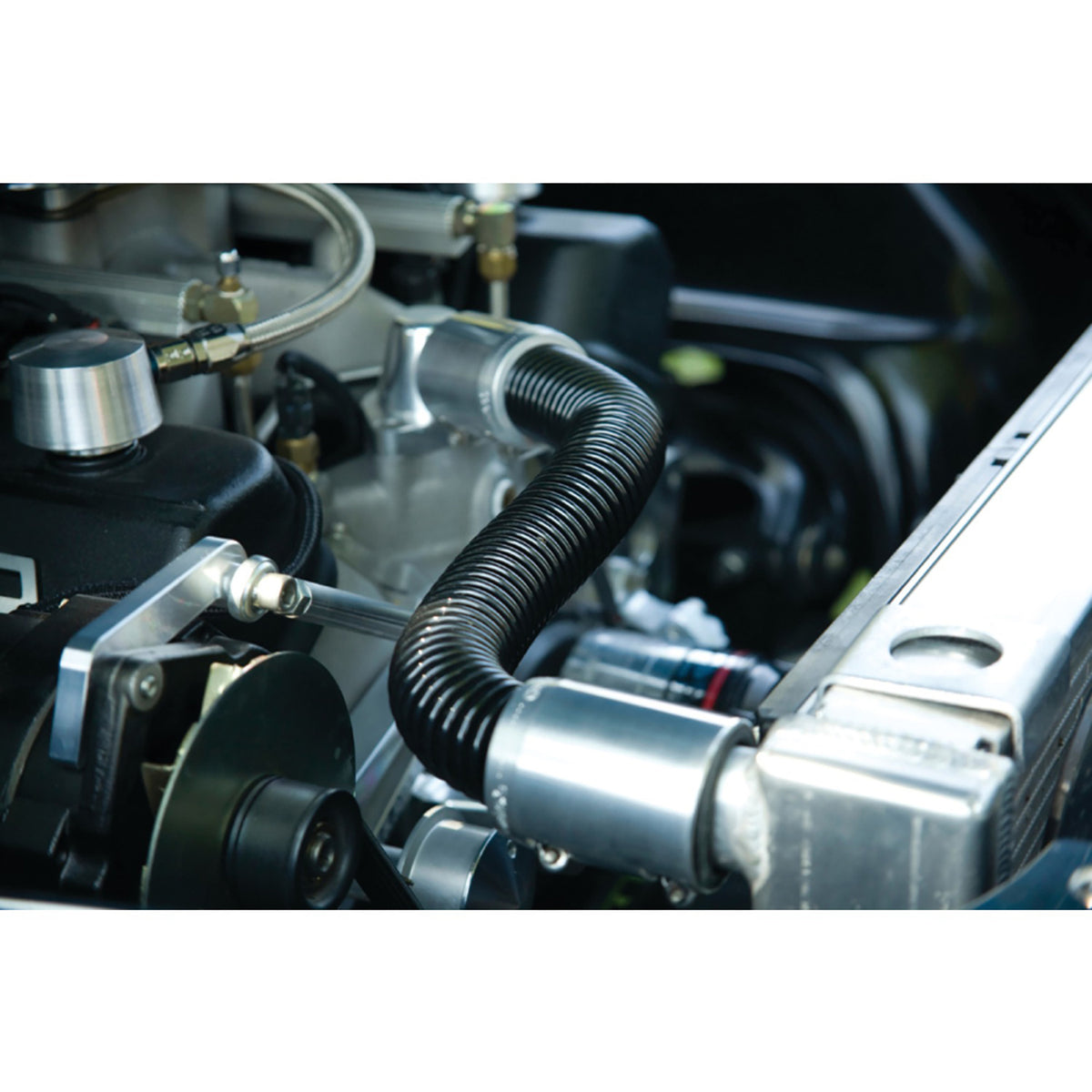 P3 International Underhood Animal Chaser - 4