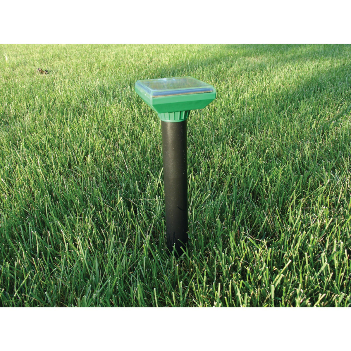 P3 International Sol-Mate Mole Repeller - 2