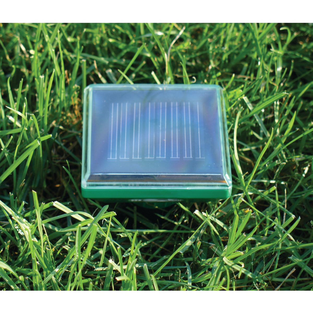P3 International Sol-Mate Mole Repeller - 3