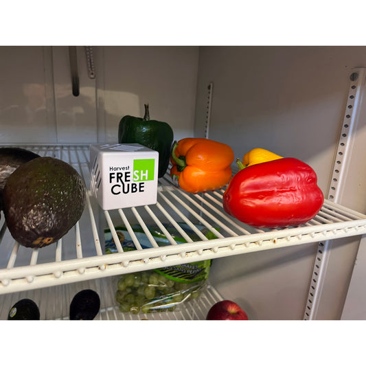 Priority Products Harvest Fresh Cube Produce Saver for Refrigerator