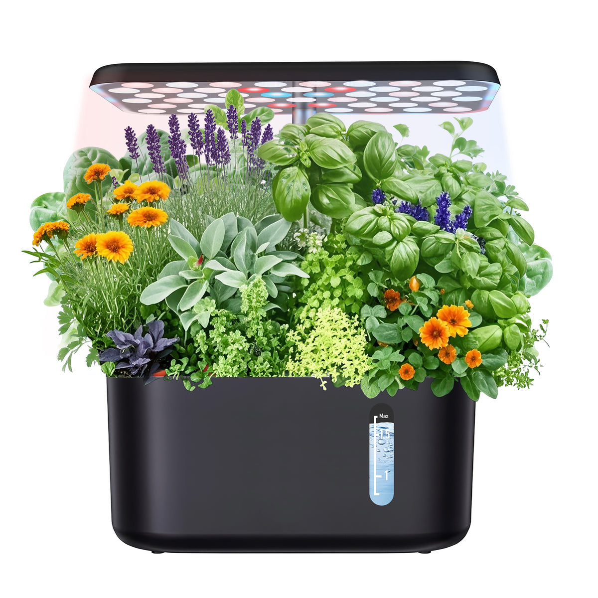 Sonicgrace Indoor Hydroponic Growing System - 9