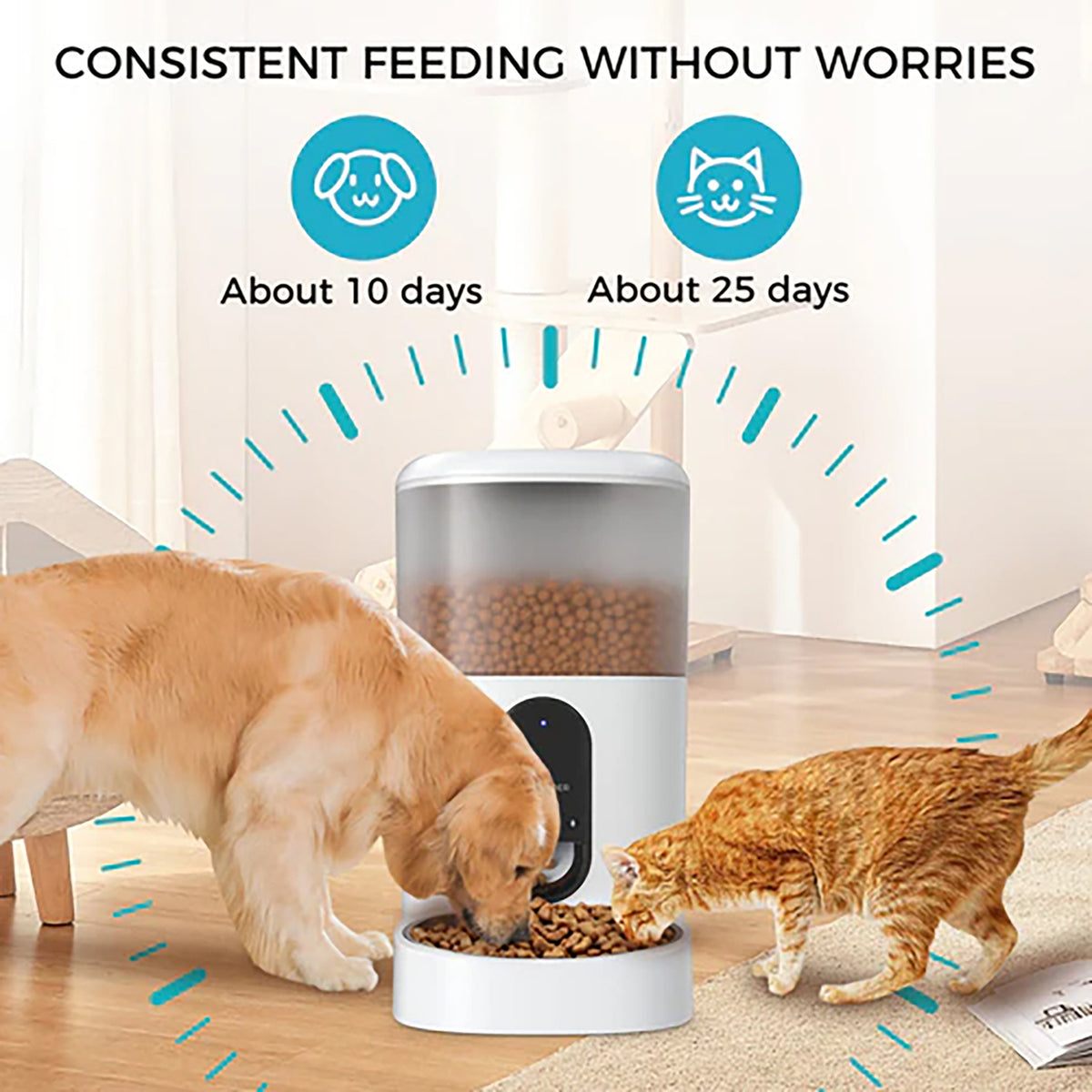 eco4life Wi-Fi 5.45-Qt. Smart Dry-Food Pet Feeder - 3