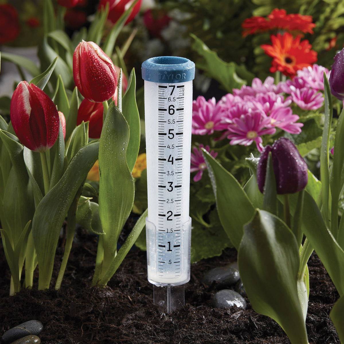 Taylor Precision Products 7-In. Capacity Silicone Rain Gauge - 2