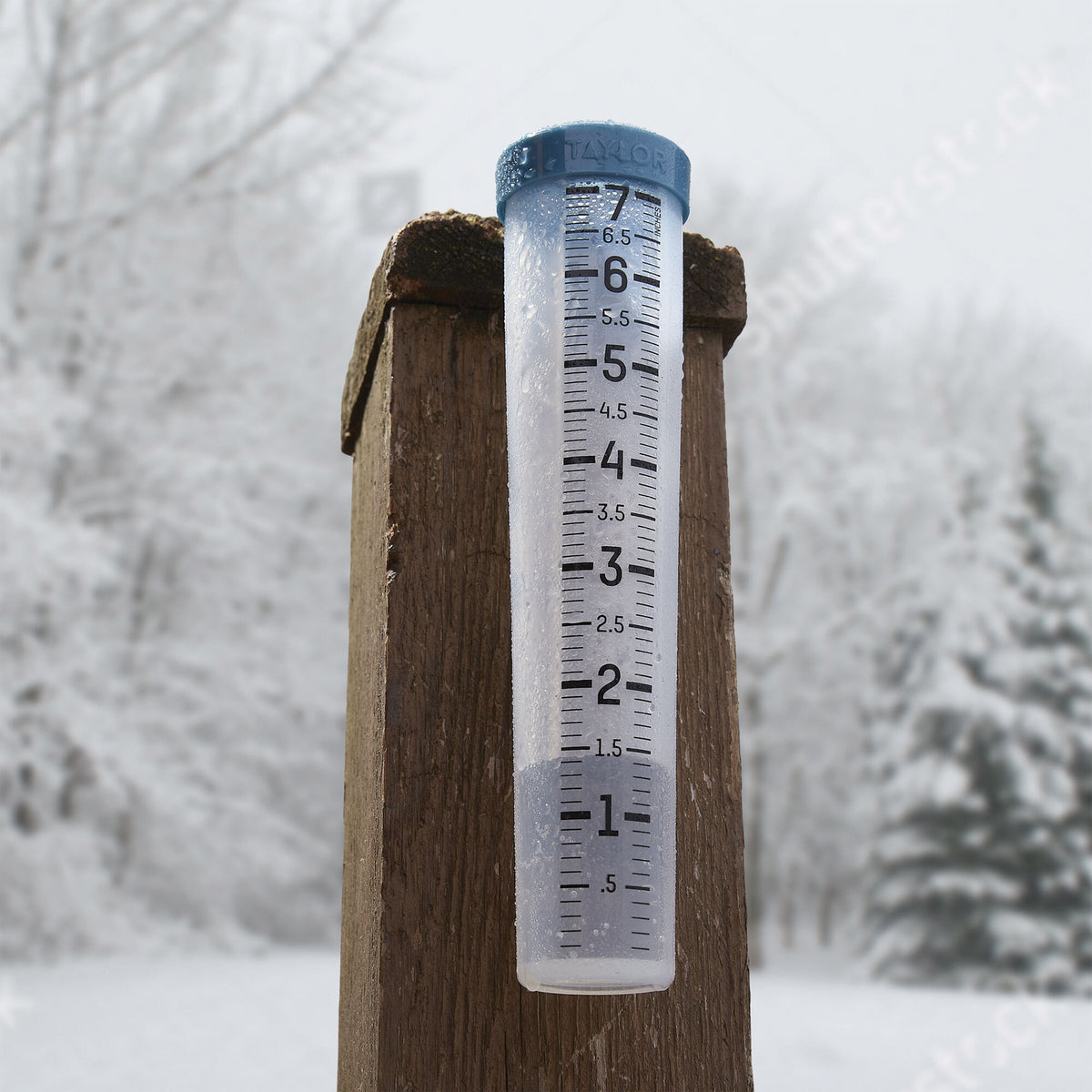Taylor Precision Products 7-In. Capacity Silicone Rain Gauge - 3