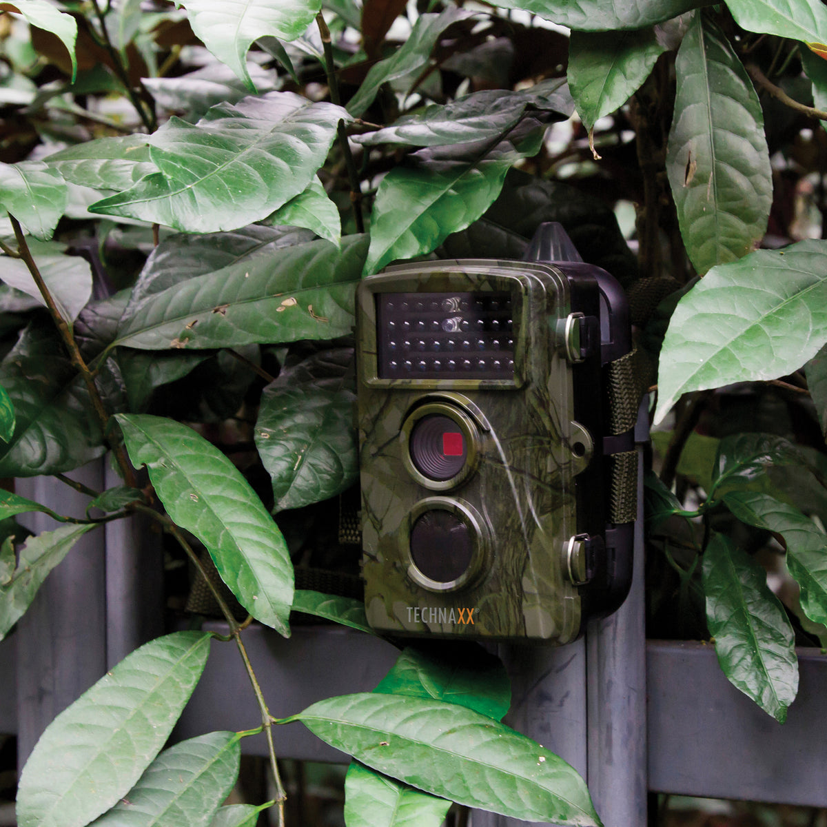 Technaxx 1080p Full HD Nature Wild Cam and Security Camera - 2