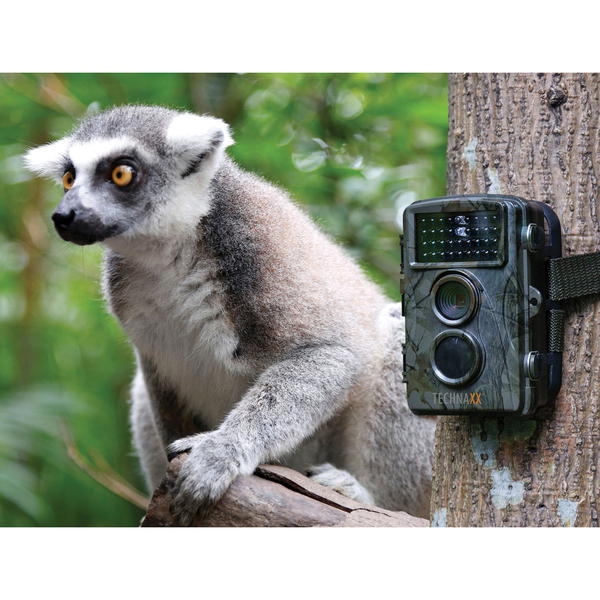 Technaxx 1080p Full HD Nature Wild Cam and Security Camera - 3