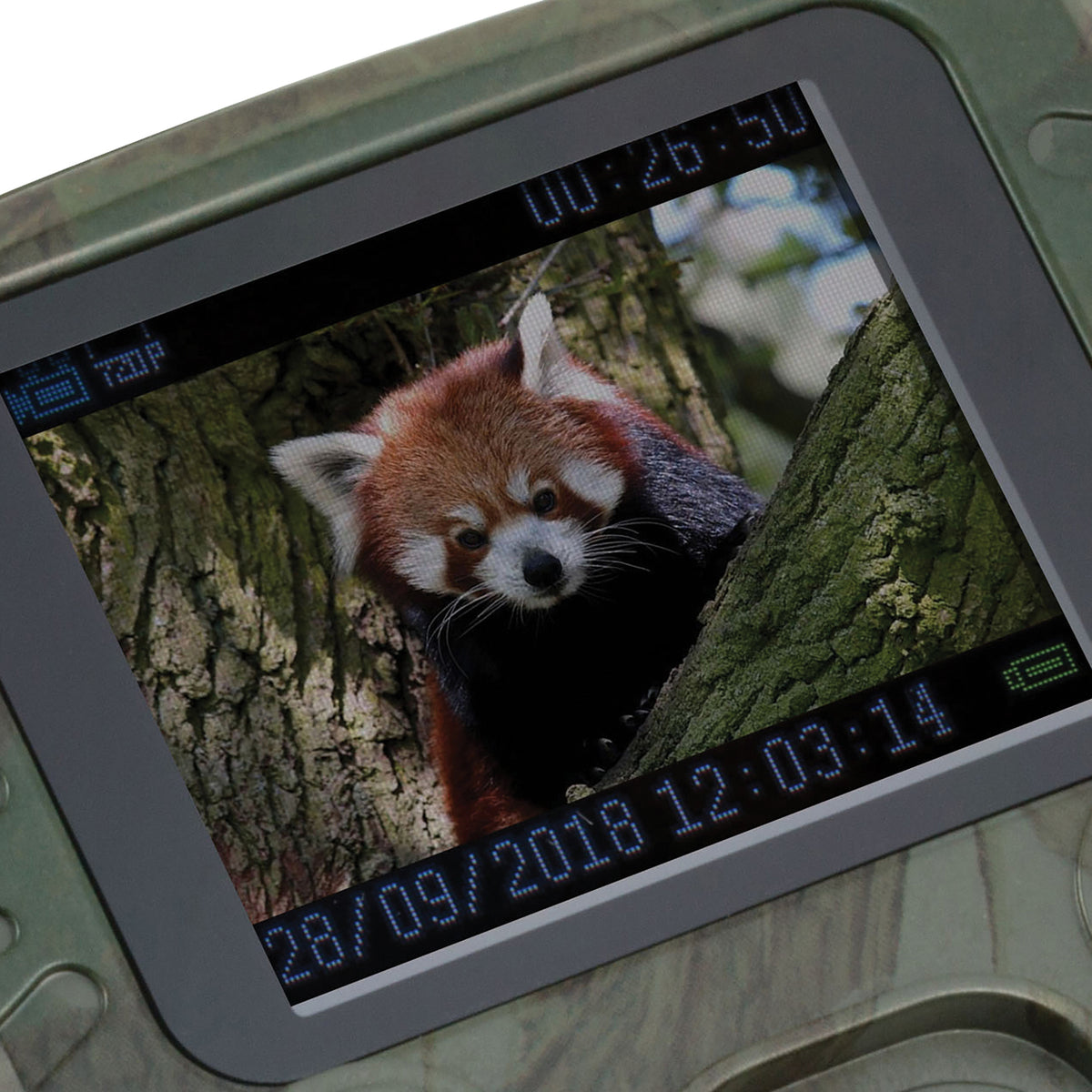 Technaxx 1080p Full HD Battery-Operated Security and Mini Nature Wild Cam - 8