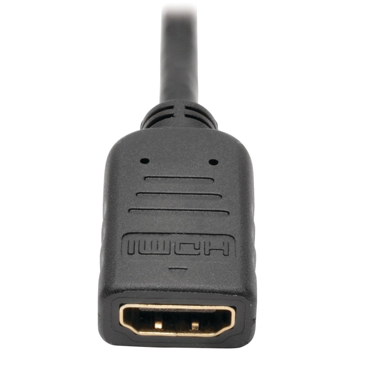 Tripp Lite by Eaton 1080p DisplayPort Male to HDMI Female Video - 2