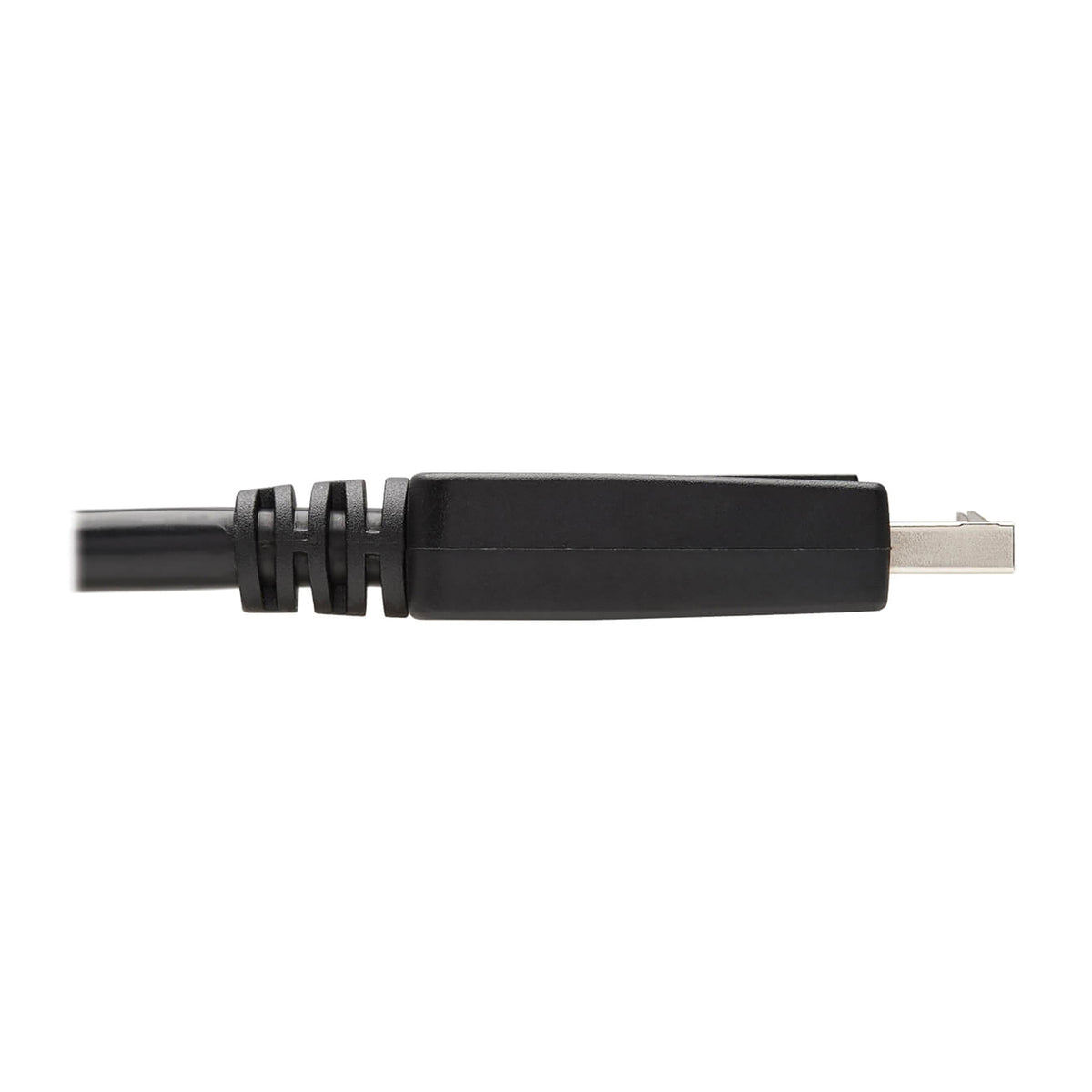 Tripp Lite by Eaton 1080p DisplayPort Male - 5